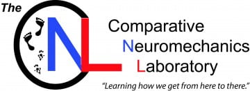 Comparative Neuromechanics Laboratory
