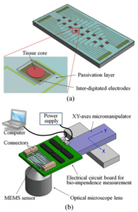 schematics of mems-based bioimpedance sensor and measurement system