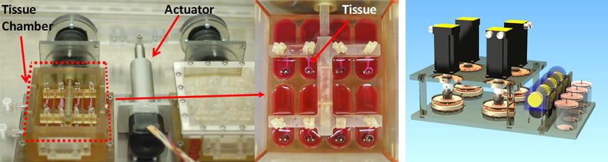 Cyclic stretch bioreactor (left) and cone and plate shear stress bioreactor (right)