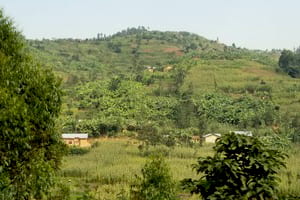 Corn is growing in the valley and up the hill; bananas are growing on the hillside. Agricultural workers can be seen in the valley. 